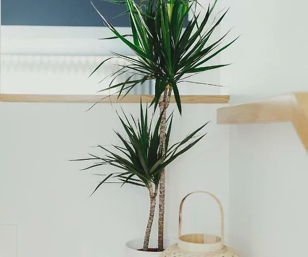 Casa Do Soutinho Alvarenga